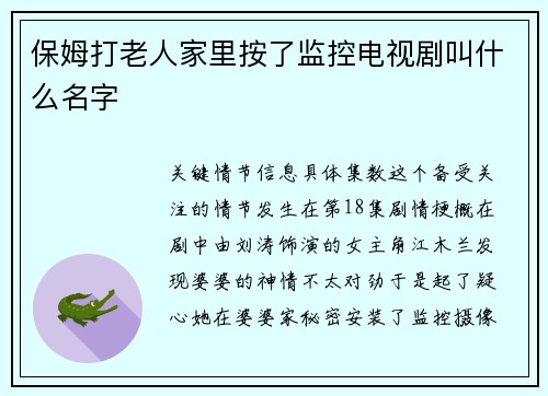 保姆打老人家里按了监控电视剧叫什么名字